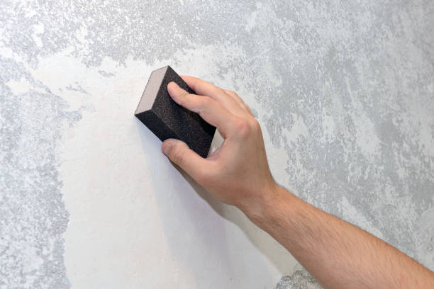 Mold Remediation for Vacation Homes in Decatur, IL