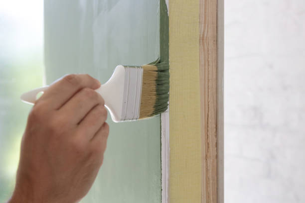 Best Mold Odor Removal Services  in Decatur, IL