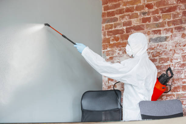 Best Commercial Mold Inspection  in Decatur, IL