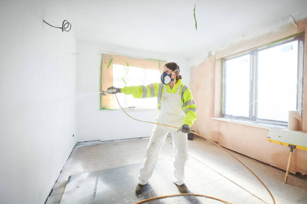 Best Asbestos and Lead Testing During Mold Inspection  in Decatur, IL