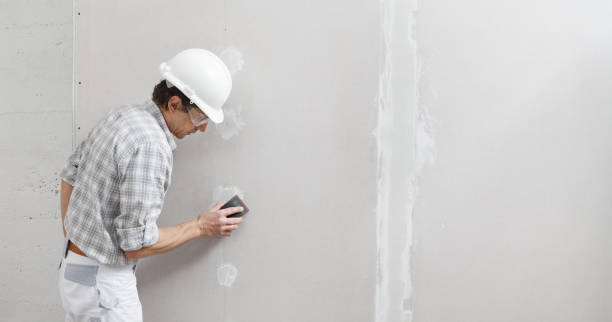 Best Air Quality Testing for Mold Spores  in Decatur, IL
