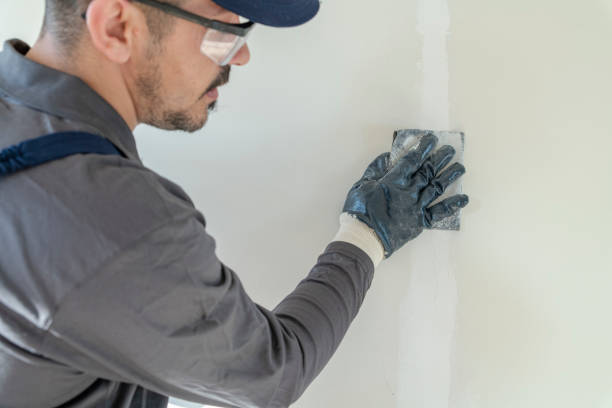 Best HVAC Mold Inspection and Cleaning  in Decatur, IL