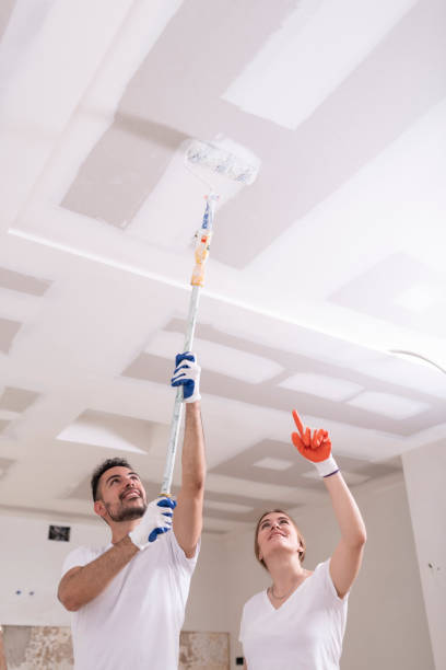 Best Air Quality Testing for Mold Spores  in Decatur, IL