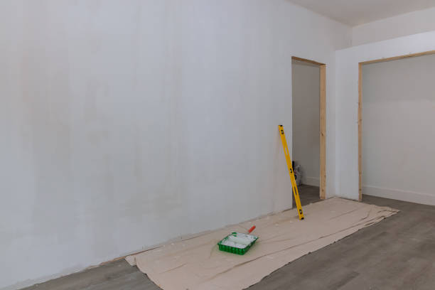 Decatur, IL Mold Removal Company