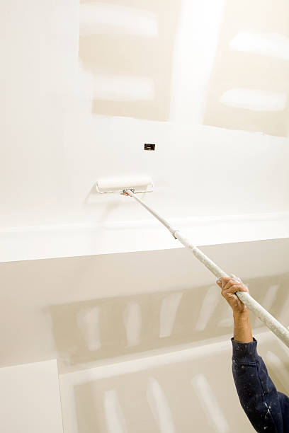 Best Water Damage & Mold Remediation  in Decatur, IL