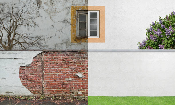  Decatur, IL Mold Removal Pros