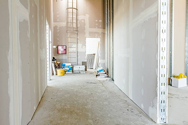 Best Real Estate Mold Inspection  in Decatur, IL